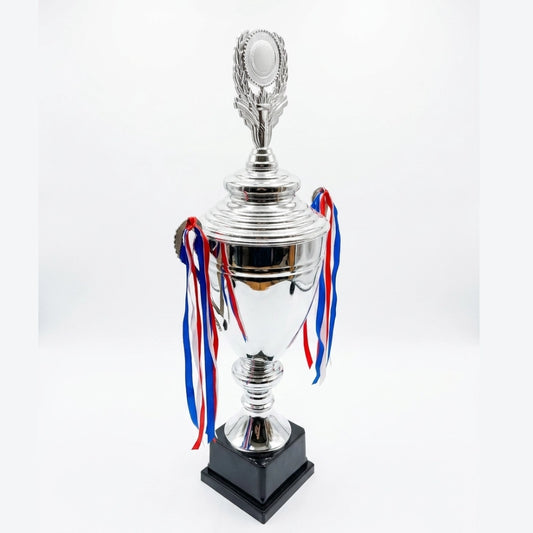 Copa Clásica Plateada con Logo Personalizable