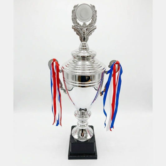 Copa Clásica Plateada con Logo Personalizable